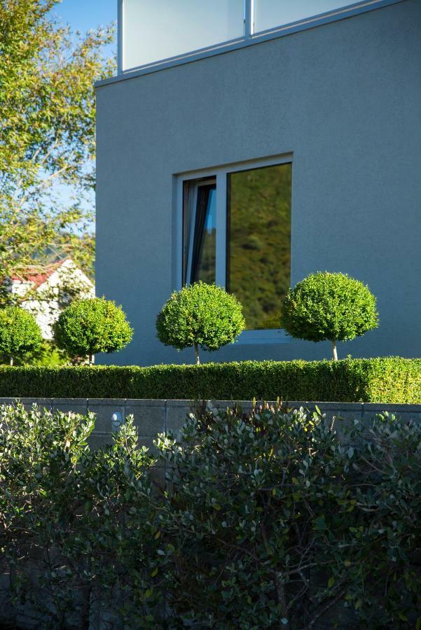 Wilkes Way Villa Picton Exteriör bild